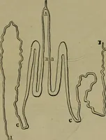 An illustration from The dyeing of textile fabrics (1885)
