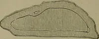 An illustration from The dyeing of textile fabrics (1885)