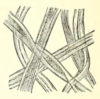 An illustration from The dyeing of textile fabrics (1888)