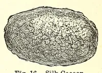 Picture 3 of 17 from The dyeing of textile fabrics (1888), leaf 67