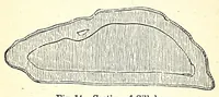 An illustration from The dyeing of textile fabrics (1890)