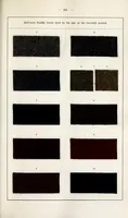 An illustration from The dyeing of unions : with the dyestuffs of Leopold Cassella & Co., G.m.b.H., Frankfort o.M (1906)