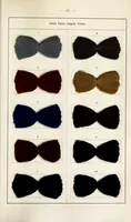 An illustration from The dyeing of unions : with the dyestuffs of Leopold Cassella & Co., G.m.b.H., Frankfort o.M (1906)