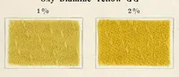 An illustration from The dyeing of unions : with the dyestuffs of Leopold Cassella & Co., G.m.b.H., Frankfort o.M (1906)