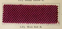 An illustration from Dyeings on union shoddy cloth (1900)