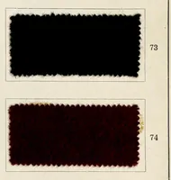 An illustration from Dyeings on union shoddy cloth (1900)