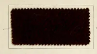 An illustration from Dyeings on union shoddy cloth (1900)