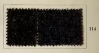 An illustration from Dyeings on union shoddy cloth (1900)