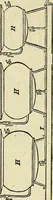 An illustration from The dyer's hand-book : containing about 200 valuable recipes for bleaching, dyeing, & finishing, on the most approved principle : with patterns dyed from white by the process given to each (1875)