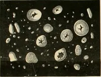 An illustration from Dyers' materials; an introduction to the examination, evaluation and application of the most important substances used in dyeing, printing, bleaching and finishing (1901)