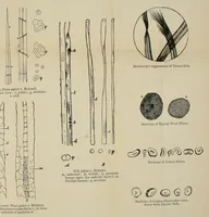 An illustration from Dyers' materials : an introduction to the examination, evaluation and application of the most important substances used in dyeing, printing, bleaching and finishing (1901)