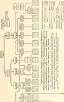 An illustration from Dyestuffs for American textile and other industries (1915)