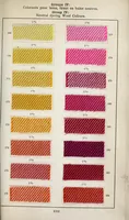 An illustration from Dyestuffs for union dyeing (1900)