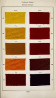 An illustration from Dyestuffs for union dyeing (1900)