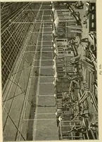 An illustration from Dynamo-electricity: its generation, application, transmission, storage and measurement (1884)