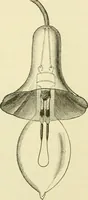 An illustration from Dynamo-electricity: its generation, application, transmission, storage and measurement (1884)