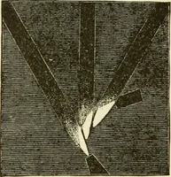 An illustration from Dynamo-electricity: its generation, application, transmission, storage and measurement (1884)