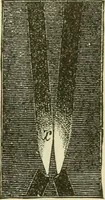 An illustration from Dynamo-electricity: its generation, application, transmission, storage and measurement (1884)