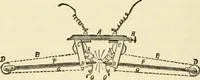 An illustration from Dynamo-electricity: its generation, application, transmission, storage and measurement (1884)