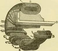 Picture 11 of 456 from Dynamo-electricity: its generation, application, transmission, storage and measurement (1884), leaf 40