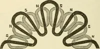 An illustration from Dynamo-electricity: its generation, application, transmission, storage and measurement (1884)