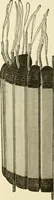Picture 353 of 456 from Dynamo-electricity: its generation, application, transmission, storage and measurement (1884), leaf 659