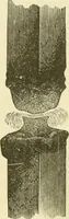 An illustration from Dynamo-electricity: its generation, application, transmission, storage and measurement (1884)