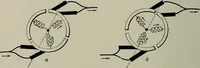 An illustration from Dynamo electric machinery; its design, construction, and operation; direct-current machines (1915)
