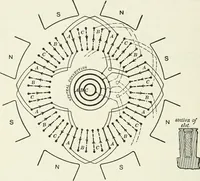 An illustration from Dynamos and motors; a text book for colleges and technical schools (1911)
