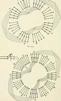 An illustration from Dynamos and motors; a text book for colleges and technical schools (1911)