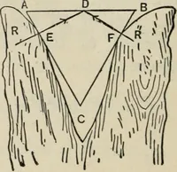 An illustration from An elementary treatise on analytic mechanics : With numerous examples (1912)