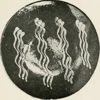 An illustration from Early American folk pottery, including the history of Bennington pottery (1918)