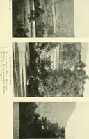 Picture 8 of 27 from Early British trackways : moats, mounds, camps, and sites (1922), leaf 29
