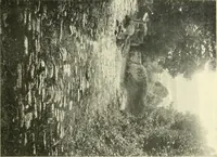 An illustration from Early British trackways : moats, mounds, camps, and sites (1922)