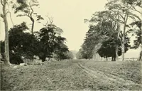 An illustration from Early British trackways : moats, mounds, camps, and sites (1922)