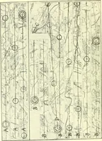 An illustration from Early British trackways : moats, mounds, camps, and sites (1922)