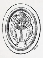 An illustration from Early Christian numismatics, and other antiquarian tracts (1873)