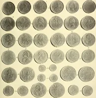 Picture 70 of 80 from The early coins of America and the laws governing their issue : comprising also descriptions of the Washington pieces, the Anglo-American tokens, many pieces of unknown origin, of the seventeenth and eighteenth centuries, and the first patterns of the United States Mint (1875), leaf 379