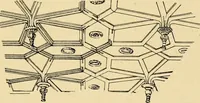 An illustration from Early renaissance architecture in England; a historical & descriptive account of the Tudor, Elizabethan & Jacobean periods, 1500-1625, for the use of students and others (1901)