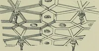Picture 222 of 318 from Early renaissance architecture in England; a historical & descriptive account of the Tudor, Elizabethan & Jacobean periods, 1500-1625, for the use of students and others (1901), leaf 335