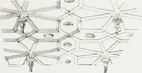 An illustration from Early renaissance architecture in England : a historical and descriptive account of the Tudor, Elizabethan, and Jacobean periods, 1500-1625 : for the use of students and others (1914)