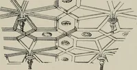 Picture 219 of 321 from Early renaissance architecture in England; a historical and descriptive account of the Tudor, Elizabethan, and Jacobean periods, 1500-1625, for the use of students and others (1914), leaf 253