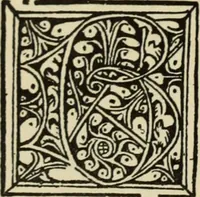 An illustration from Early woodcut initials : containing over thirteen hundred reproductions of ornamental letters of the fifteenth and sixteenth centuries (1908)