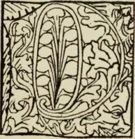 An illustration from Early woodcut initials : containing over thirteen hundred reproductions of ornamental letters of the fifteenth and sixteenth centuries (1908)