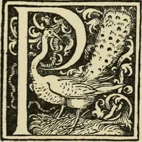 An illustration from Early woodcut initials : containing over thirteen hundred reproductions of ornamental letters of the fifteenth and sixteenth centuries (1908)