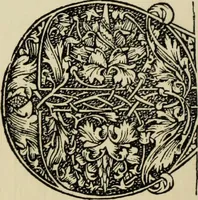 An illustration from Early woodcut initials : containing over thirteen hundred reproductions of ornamental letters of the fifteenth and sixteenth centuries (1908)