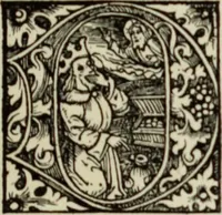 An illustration from Early woodcut initials : containing over thirteen hundred reproductions of ornamental letters of the fifteenth and sixteenth centuries (1908)