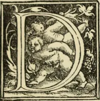 An illustration from Early woodcut initials : containing over thirteen hundred reproductions of ornamental letters of the fifteenth and sixteenth centuries (1908)