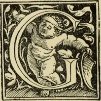An illustration from Early woodcut initials : containing over thirteen hundred reproductions of ornamental letters of the fifteenth and sixteenth centuries (1908)