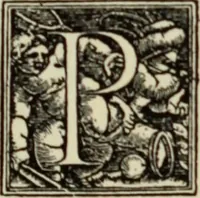 An illustration from Early woodcut initials : containing over thirteen hundred reproductions of ornamental letters of the fifteenth and sixteenth centuries (1908)